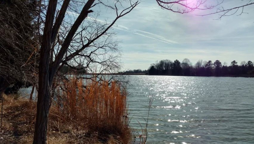 Franklin Point State Park, Maryland, USA